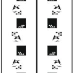 123769